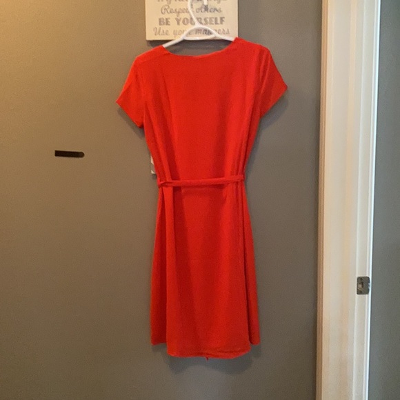 Red Dress - Picture 3 of 3